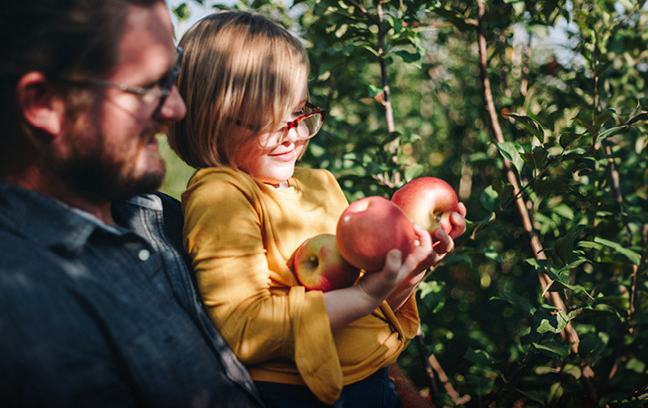 Darum schmecken die Säfte der Streuobstwiese so lecker