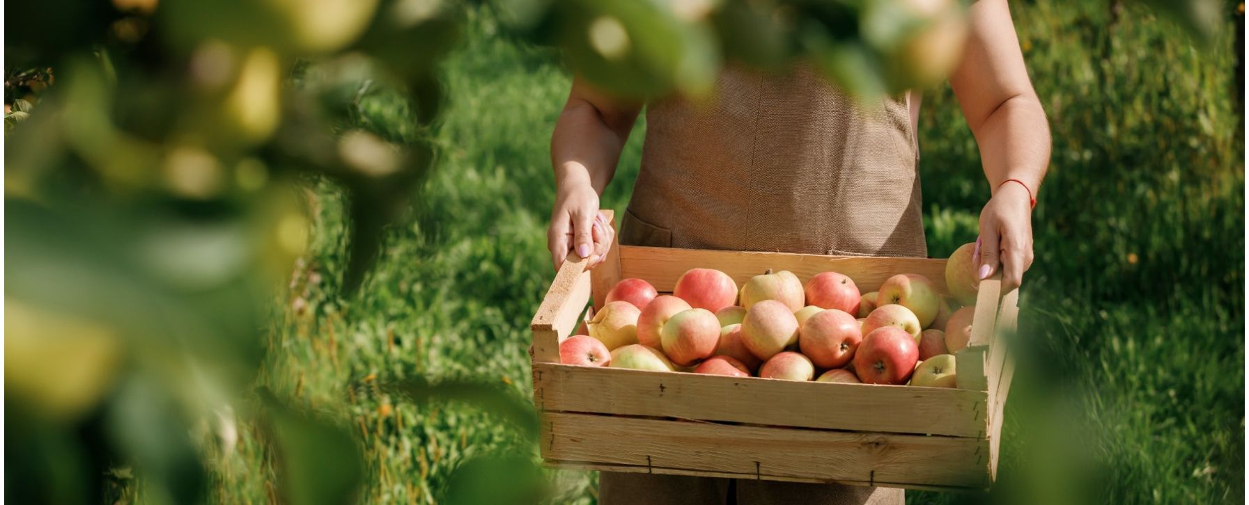 Banner_Services_2_1_