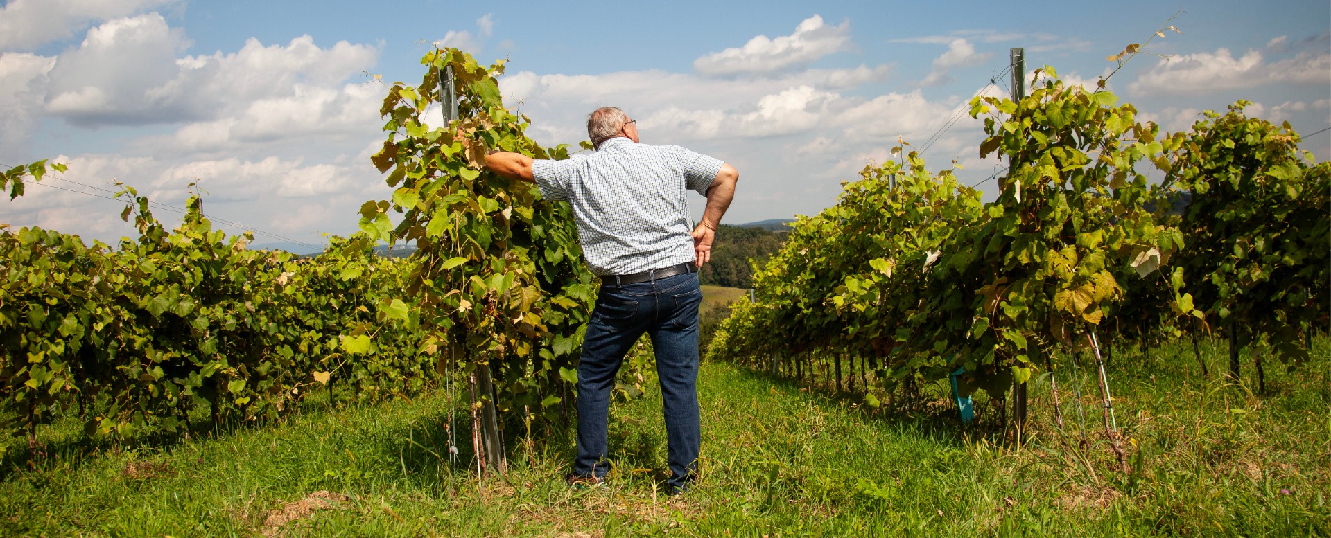 TRUM_Website_Header_Unterseiten_240220_ohne-headline_02